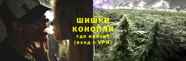 шишки Белоозёрский