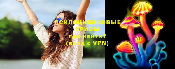 шишки Белоозёрский