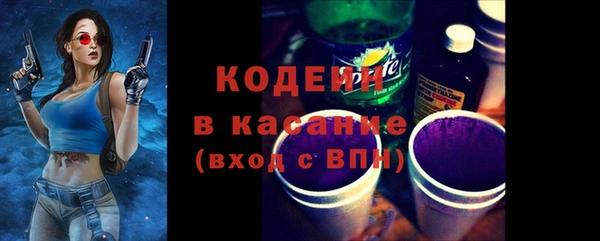 шишки Белоозёрский