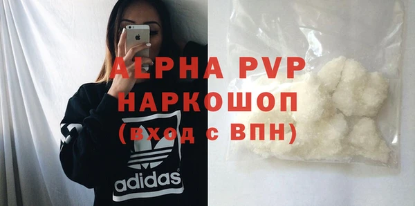 прущие грибы Белокуриха