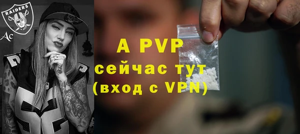 прущие грибы Белокуриха