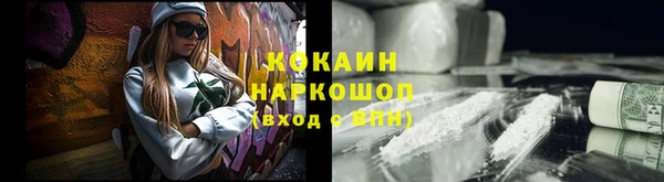 прущие грибы Белокуриха