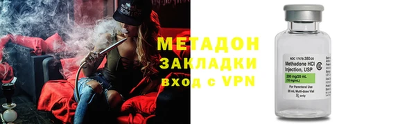 прущие грибы Белокуриха