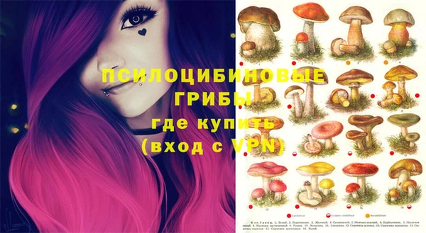 прущие грибы Белокуриха