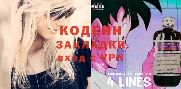 шишки Белоозёрский