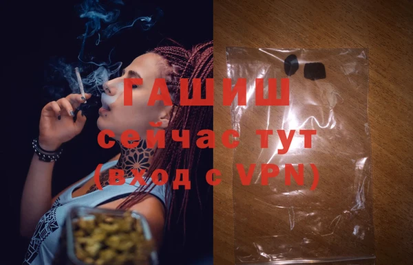 прущие грибы Белокуриха