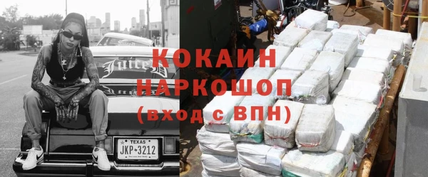 шишки Белоозёрский