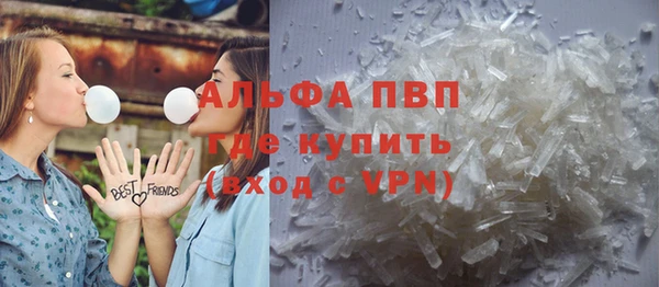 шишки Белоозёрский