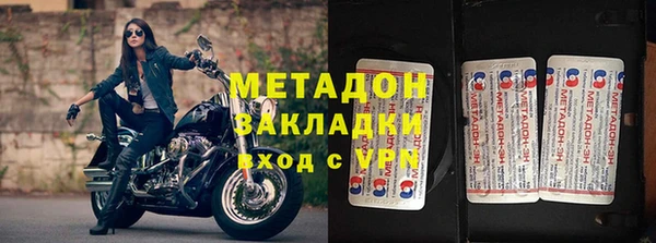 прущие грибы Белокуриха