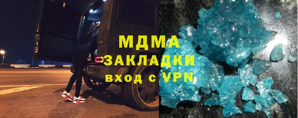 шишки Белоозёрский