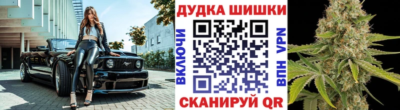 Бошки Шишки планчик  Купить  Краснокаменск 
